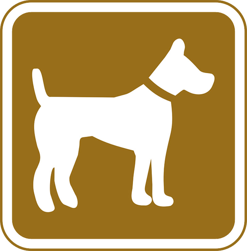 Cuida a tu mejor amigo con estas apps para mascotas
