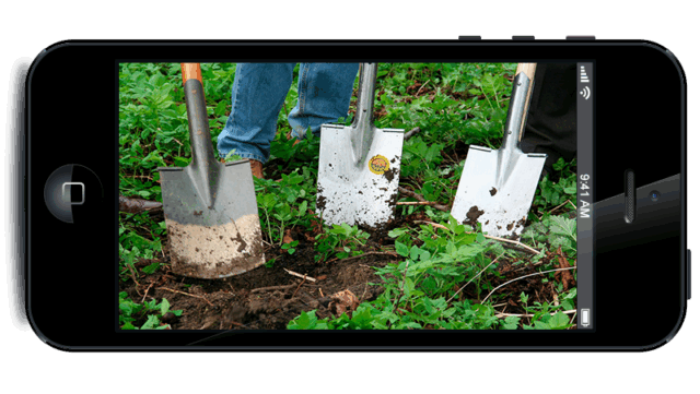 Haz que tu jardín luzca mejor que nunca con estas apps para jardineros