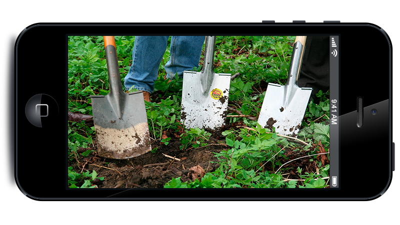 Haz que tu jardín luzca mejor que nunca con estas apps para jardineros
