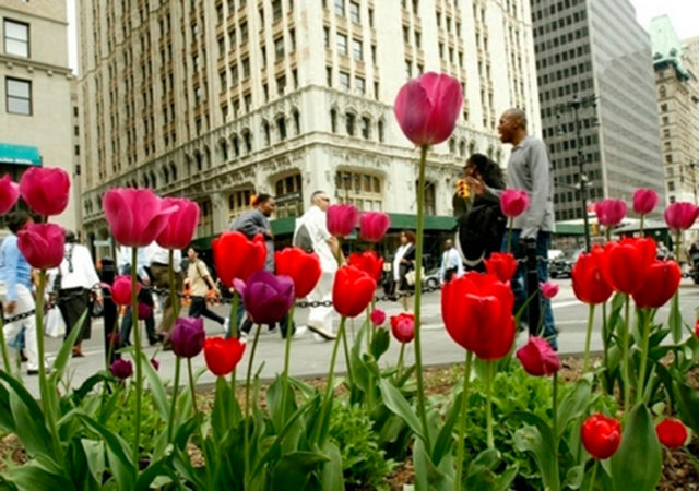 Disfruta y cuídate con estas apps para la primavera