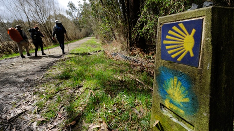 Sigue alguna de estas rutas para hacer el Camino de Santiago