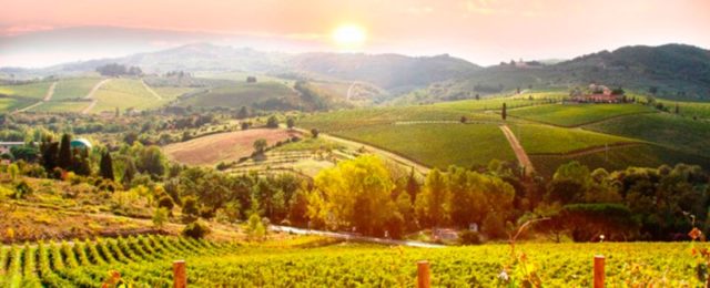 Vacaciones en la Toscana: ¿qué no te puedes perder?
