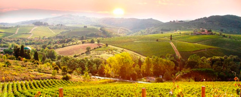 Vacaciones en la Toscana: ¿qué no te puedes perder?