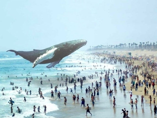 Magic Leap: el futuro de la tecnología