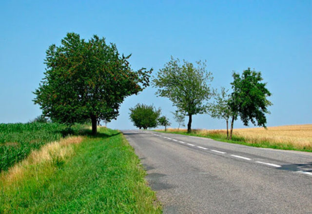 Consejos para viajar por carreteras secundarias